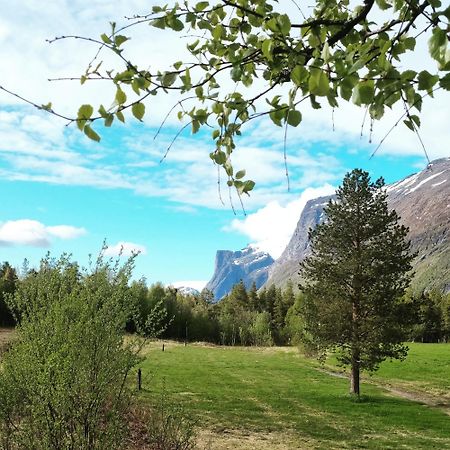 Torfoss Gard, Hytte Utleie, Campingvogn Og Bobil Plasser Potka Dış mekan fotoğraf