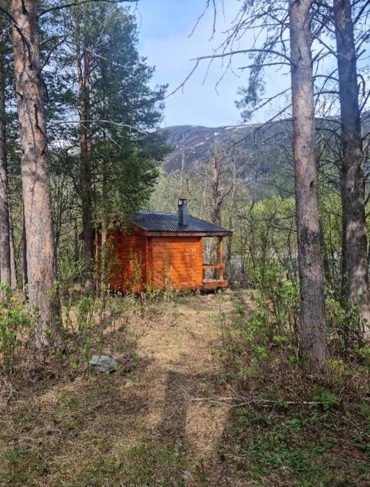Torfoss Gard, Hytte Utleie, Campingvogn Og Bobil Plasser Potka Dış mekan fotoğraf
