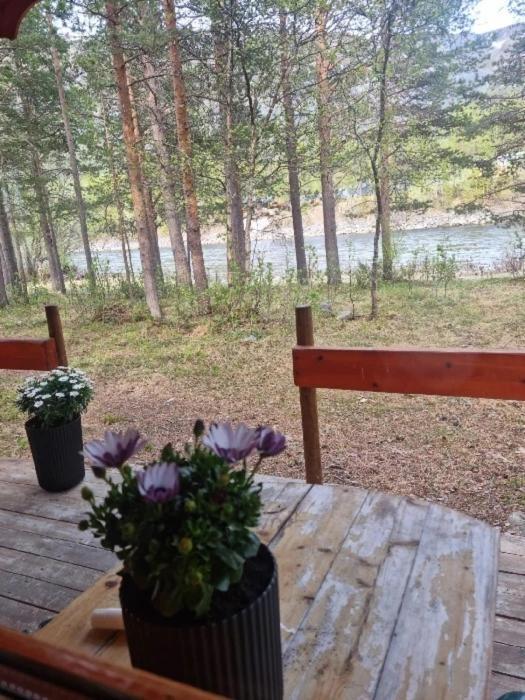 Torfoss Gard, Hytte Utleie, Campingvogn Og Bobil Plasser Potka Dış mekan fotoğraf