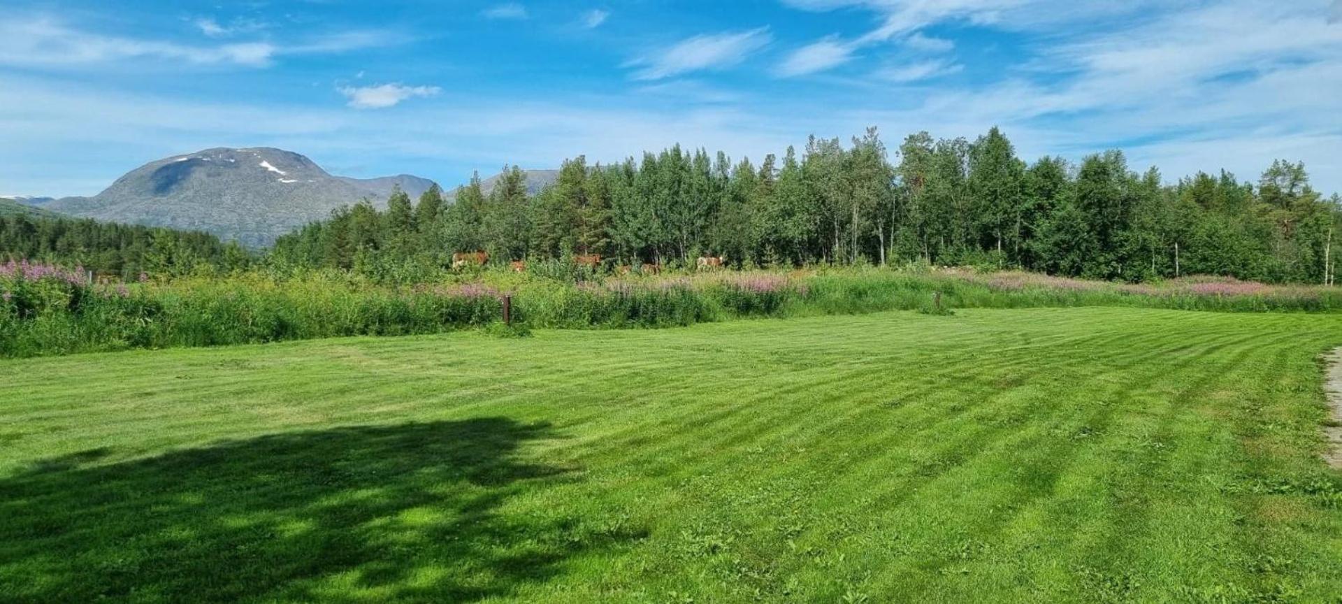 Torfoss Gard, Hytte Utleie, Campingvogn Og Bobil Plasser Potka Dış mekan fotoğraf
